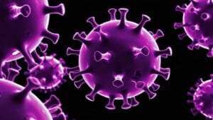A purple virus illustration on a black background.
